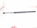 2025 Acura Integra Driver Tailgate Lift Support Strut 74870 3S5 A012 M1 Replacement 2025 Acura Integra Driver Tailgate Lift Support Strut 74870 3S5 A012 M1 Replacement thumbnail