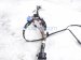 2022 Toyota Tacoma Engine Room Harness W/fuse 3.5l 4x4 82111 04M01 Replacement 2022 Toyota Tacoma Engine Room Harness W/fuse 3.5l 4x4 82111 04M01 Replacement thumbnail