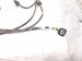 2022 Honda Passport Rear Bumper Wire Harness 3.5l Fwd 32165 TGS AN0 Replacement 2022 Honda Passport Rear Bumper Wire Harness 3.5l Fwd 32165 TGS AN0 Replacement thumbnail