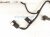 2015 Lexus Rx350 Rear Luggage Room Wire Harness 82183 0E020 Replacement 2015 Lexus Rx350 Rear Luggage Room Wire Harness 82183 0E020 Replacement thumbnail