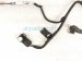 2015 Lexus Rx350 Rear Luggage Room Wire Harness 82183 0E020 Replacement 2015 Lexus Rx350 Rear Luggage Room Wire Harness 82183 0E020 Replacement thumbnail
