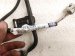 2015 Lexus Rx350 Rear Luggage Room Wire Harness 82183 0E020 Replacement 2015 Lexus Rx350 Rear Luggage Room Wire Harness 82183 0E020 Replacement thumbnail