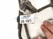 2015 Lexus Rx350 Rear Luggage Room Wire Harness 82183 0E020 Replacement 2015 Lexus Rx350 Rear Luggage Room Wire Harness 82183 0E020 Replacement thumbnail