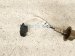 2025 BMW I4 Oxygen Sensor 18 30 5 B50 DC4 Replacement 2025 BMW I4 Oxygen Sensor 18 30 5 B50 DC4 Replacement thumbnail