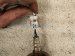 2025 BMW I4 Oxygen Sensor 18 30 5 B50 DC4 Replacement 2025 BMW I4 Oxygen Sensor 18 30 5 B50 DC4 Replacement thumbnail