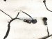 2025 BMW I4 Front Bumper Wiring Harness W/sensor 5A3DE09 Replacement 2025 BMW I4 Front Bumper Wiring Harness W/sensor 5A3DE09 Replacement thumbnail
