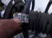 2025 Honda Accord Front Driver Strut + Spring 1.5t 51620 30A A01 Replacement 2025 Honda Accord Front Driver Strut + Spring 1.5t 51620 30A A01 Replacement thumbnail