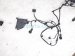 2024 Mercedes Eqb300 Front/rear Bumper Wire Harness 177 540 85 41 Replacement 2024 Mercedes Eqb300 Front/rear Bumper Wire Harness 177 540 85 41 Replacement thumbnail