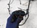 2024 Mercedes Eqb300 Front/rear Bumper Wire Harness 177 540 85 41 Replacement 2024 Mercedes Eqb300 Front/rear Bumper Wire Harness 177 540 85 41 Replacement thumbnail