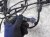 2024 Mercedes Eqb300 Front/rear Bumper Wire Harness 177 540 85 41 Replacement 2024 Mercedes Eqb300 Front/rear Bumper Wire Harness 177 540 85 41 Replacement thumbnail