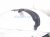 2024 Mercedes Eqb300 Rear Passenger Bumper Brkt 247 885 09 00 Replacement 2024 Mercedes Eqb300 Rear Passenger Bumper Brkt 247 885 09 00 Replacement thumbnail