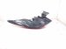 2023 Toyota Corollacs Light / Rear Passenger Tail Lamp (on Body) 81550 0A170 Replacement 2023 Toyota Corollacs Light / Rear Passenger Tail Lamp (on Body) 81550 0A170 Replacement thumbnail