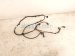 2025 Honda CR V Front Bumper Parking Sensor Harness 32112 3A0 A10 Replacement 2025 Honda CR V Front Bumper Parking Sensor Harness 32112 3A0 A10 Replacement thumbnail