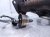 2024 Chevy Corvette Front Left Oxygen Sensor 6.2l 12703967 Replacement 2024 Chevy Corvette Front Left Oxygen Sensor 6.2l 12703967 Replacement thumbnail