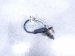 2024 Chevy Corvette Front Left Oxygen Sensor 6.2l 12703967 Replacement 2024 Chevy Corvette Front Left Oxygen Sensor 6.2l 12703967 Replacement thumbnail
