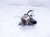 2024 Chevy Corvette Front Right Oxygen Sensor 6.2l 12703967 Replacement 2024 Chevy Corvette Front Right Oxygen Sensor 6.2l 12703967 Replacement thumbnail