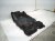 2024 Honda Prologue Ground Driver Front Interior Floor Carpet blk Replacement 2024 Honda Prologue Ground Driver Front Interior Floor Carpet blk Replacement thumbnail