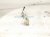 2014 Honda Accord Passenger Hood Hinge White 60120 T2A A00ZZ Replacement 2014 Honda Accord Passenger Hood Hinge White 60120 T2A A00ZZ Replacement thumbnail