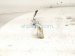 2014 Honda Accord Passenger Hood Hinge White 60120 T2A A00ZZ Replacement 2014 Honda Accord Passenger Hood Hinge White 60120 T2A A00ZZ Replacement thumbnail
