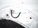 2021 Acura ILX Hood White 60100 T3R A90ZZ Replacement 2021 Acura ILX Hood White 60100 T3R A90ZZ Replacement thumbnail