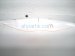 2021 Acura ILX Hood White 60100 T3R A90ZZ Replacement 2021 Acura ILX Hood White 60100 T3R A90ZZ Replacement thumbnail