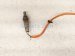 2014 Honda Accord Rear Exhaust Manifold Oxygen Sensor 36542 5G1 A01 Replacement 2014 Honda Accord Rear Exhaust Manifold Oxygen Sensor 36542 5G1 A01 Replacement thumbnail