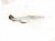 2014 Honda Accord Driver Hood Hinge White 60170 T2A A00ZZ Replacement 2014 Honda Accord Driver Hood Hinge White 60170 T2A A00ZZ Replacement thumbnail