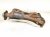 2023 Toyota Corollacs Exhaust Manifold 17141 24220 Replacement 2023 Toyota Corollacs Exhaust Manifold 17141 24220 Replacement thumbnail
