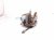 2023 Toyota Corollacs Core Core Front Passenger Brake Caliper 47730 0A020 Replacement 2023 Toyota Corollacs Core Core Front Passenger Brake Caliper 47730 0A020 Replacement thumbnail