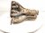 2024 Toyota Rav 4 Catalytic Exhaust Manifold W/conv 2.5l Fwd 17141 F0110 Replacement 2024 Toyota Rav 4 Catalytic Exhaust Manifold W/conv 2.5l Fwd 17141 F0110 Replacement thumbnail