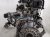 2022 Honda Civic Long Block Engine / Motor = 58k Mi 10002 5BA A00 Replacement 2022 Honda Civic Long Block Engine / Motor = 58k Mi 10002 5BA A00 Replacement thumbnail