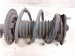 2022 Honda Civic Front Passenger Strut Absorber + Spring 51611 T20 A14 Replacement 2022 Honda Civic Front Passenger Strut Absorber + Spring 51611 T20 A14 Replacement thumbnail
