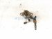 2024 Toyota Rav 4 High Pressure Fuel Pump Engine Mtd 23101 25040 Replacement 2024 Toyota Rav 4 High Pressure Fuel Pump Engine Mtd 23101 25040 Replacement thumbnail