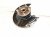 2025 Honda Civic Front Passenger Spindle Knuckle Hub 51211 T22 A01 Replacement 2025 Honda Civic Front Passenger Spindle Knuckle Hub 51211 T22 A01 Replacement thumbnail