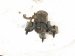2024 Toyota Rav 4 Front Engine Mount 2.5l Fwd 12361 F0160 Replacement 2024 Toyota Rav 4 Front Engine Mount 2.5l Fwd 12361 F0160 Replacement thumbnail