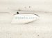 2021 Nissan Rogue Antenna Roof Mtd Shark Fin White 28208 6RR0A Replacement 2021 Nissan Rogue Antenna Roof Mtd Shark Fin White 28208 6RR0A Replacement thumbnail