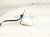 2021 Nissan Rogue Antenna Roof Mtd Shark Fin White 28208 6RR0A Replacement 2021 Nissan Rogue Antenna Roof Mtd Shark Fin White 28208 6RR0A Replacement thumbnail