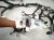 2013 Lexus Gs350 Dash Instrument Wire Harness Rwd 82141 3AE81 Replacement 2013 Lexus Gs350 Dash Instrument Wire Harness Rwd 82141 3AE81 Replacement thumbnail
