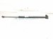 2021 Nissan Rogue Passenger Tailgate Lift Support Strut 90450 6RR0B Replacement 2021 Nissan Rogue Passenger Tailgate Lift Support Strut 90450 6RR0B Replacement thumbnail
