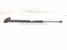 2021 Nissan Rogue Driver Tailgate Lift Support Strut 90451 6RR0B Replacement 2021 Nissan Rogue Driver Tailgate Lift Support Strut 90451 6RR0B Replacement thumbnail