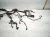 2018 Honda Civic Main Engine Wire Harness Type r 32110 5BF A030 C2 Replacement 2018 Honda Civic Main Engine Wire Harness Type r 32110 5BF A030 C2 Replacement thumbnail