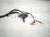 2018 Honda Odyssey Driver Engine Room Harness Touring 32120 THR A40 Replacement 2018 Honda Odyssey Driver Engine Room Harness Touring 32120 THR A40 Replacement thumbnail