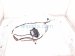 2023 Toyota Corollacs Radio Antenna Module Rear 86101 0A790 Replacement 2023 Toyota Corollacs Radio Antenna Module Rear 86101 0A790 Replacement thumbnail