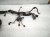 2021 Honda Accord Main Engine Wire Harness 2.0t At 32110 6B2 A51 Replacement 2021 Honda Accord Main Engine Wire Harness 2.0t At 32110 6B2 A51 Replacement thumbnail