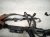 2021 Honda Accord Main Engine Wire Harness 2.0t At 32110 6B2 A51 Replacement 2021 Honda Accord Main Engine Wire Harness 2.0t At 32110 6B2 A51 Replacement thumbnail