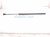 2024 Honda Prologue Driver Hood Strut / Lift Cylinder Replacement 2024 Honda Prologue Driver Hood Strut / Lift Cylinder Replacement thumbnail