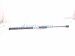 2024 Honda Prologue Passenger Hood Strut / Lift Cylinder Replacement 2024 Honda Prologue Passenger Hood Strut / Lift Cylinder Replacement thumbnail