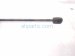 2024 Honda Prologue Passenger Hood Strut / Lift Cylinder Replacement 2024 Honda Prologue Passenger Hood Strut / Lift Cylinder Replacement thumbnail