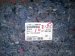 2024 Honda Prologue Ground Rear Floor Carpet Black Replacement 2024 Honda Prologue Ground Rear Floor Carpet Black Replacement thumbnail