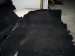 2025 Honda Civic Front / Ground Interior Floor Carpet Black Sdn 83301 T20 A810 M1 Replacement 2025 Honda Civic Front / Ground Interior Floor Carpet Black Sdn 83301 T20 A810 M1 Replacement thumbnail